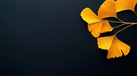 A stunning close-up of bright yellow ginkgo leaves against a dark background, highlighting their unique shapes and vibrant hues, ideal for nature-inspired designs.の素材