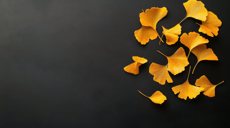 A stunning display of vibrant yellow ginkgo leaves arranged artfully on a dark background, showcasing the beauty and elegance of nature in autumn, perfect for various creative projects.の素材