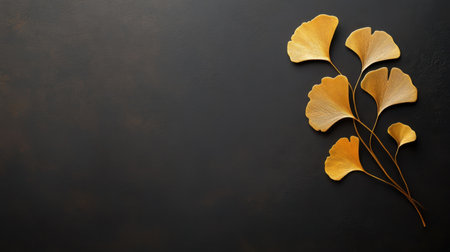 A stunning display of ginkgo biloba leaves in warm yellow tones against a dark background, perfect for nature-themed decor and creative projects, evoking tranquility.の素材
