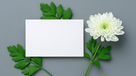 A minimalist arrangement featuring a blank white card with elegant green leaves and a white flower, ideal for sophisticated design presentations and invitations.の素材