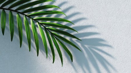 A serene close-up of a vibrant green palm leaf casting delicate shadows on a textured wall, creating a calming and refreshing atmosphere. Ideal for nature-themed decor or branding.の素材