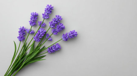 A stunning arrangement of fresh lavender flowers with vibrant purple blossoms and rich green stems against a sleek gray background, perfect for enhancing any decor.の素材