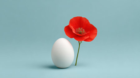 A refined still life scene featuring a smooth white egg next to a vivid red poppy flower, beautifully contrasted against a soft blue background, evoking freshness and simplicity.の素材