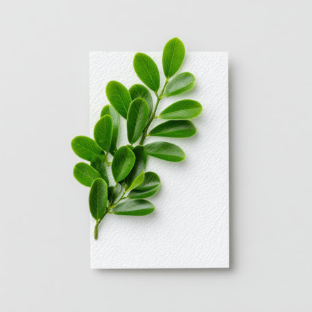 A vibrant green leaf branch rests elegantly on a textured white background, capturing the essence of nature's beauty in a minimalist design. Perfect for creative projects.の素材