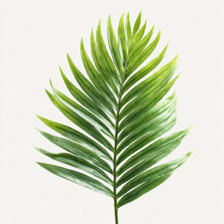 Vibrant palm leaf showcasing rich green tones and intricate textures, perfect for nature-themed projects, wellness concepts, or home decor accents.の素材