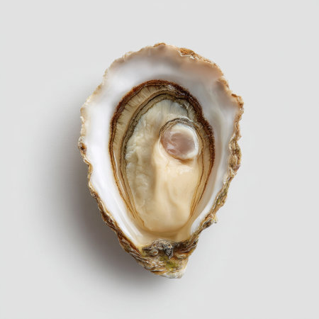 This image showcases a fresh open oyster shell revealing a pearl, highlighting the natural textures and elegant appearance against a soft background.の素材