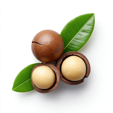 This image showcases whole macadamia nuts nestled in their shells alongside lush green leaves, perfect for promoting healthy eating and gourmet cooking.の素材