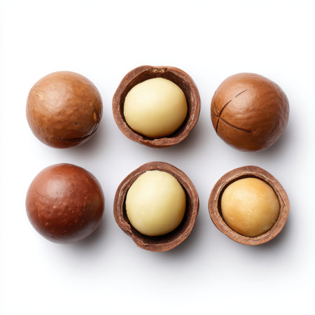 Close-up view of macadamia nuts in various stages, including whole and shelled nuts, highlighting their appealing texture and color for nutrition.の素材