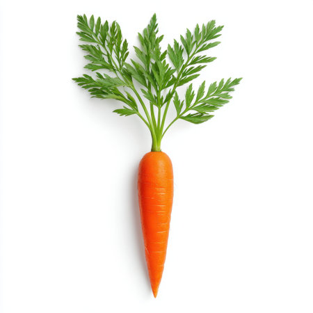 This image features a fresh, bright orange carrot with lush green leaves, isolated on a clean white background. Perfect for concepts of healthy eating, nutrition, and cooking.の素材