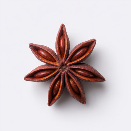 A captivating star-shaped spice showcases an intricate design and rich brown color, perfect for culinary or decorative use in artistic projects.の素材