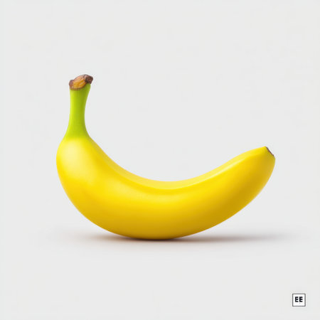A vibrant yellow banana resting on a clean, minimalist background showcases its smooth texture and bright color, ideal for healthy food themes.の素材