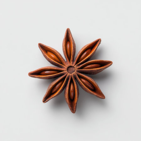 Beautiful star anise spice featuring a distinct star shape and rich brown color. Perfect for culinary use, herbal remedies, and decorative displays.の素材