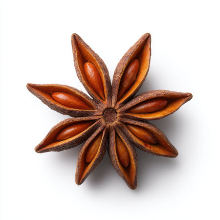 This image showcases a unique star-shaped spice featuring brown seeds nestled within textured petals. Ideal for culinary arts, natural design, and botanical themes.の素材