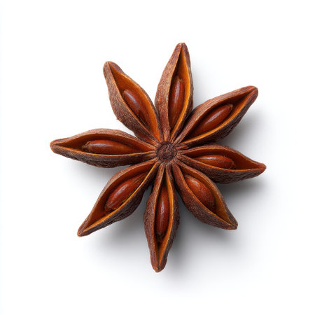 This image showcases a single star anise spice on a white background. The vibrant brown color and unique star shape highlight its aromatic qualities, making it perfect for culinary uses.の素材