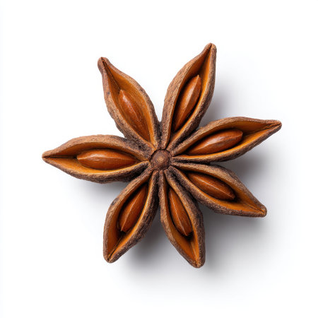 A detailed close-up of a star anise pod reveals its striking star shape and rich brown hue, ideal for culinary uses and decorative purposes.の素材