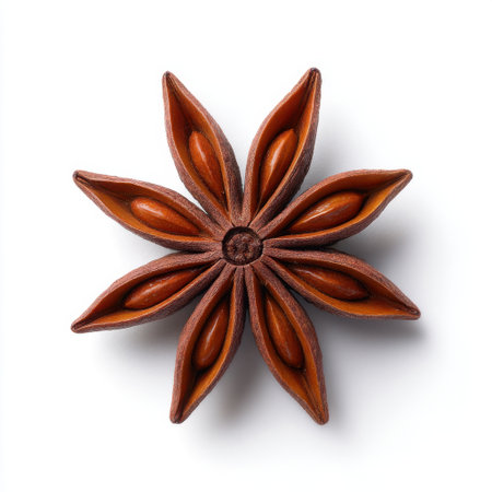 A stunning overhead view of a star anise spice arranged beautifully on a white background, showcasing its unique star shape and rich, vibrant brown color.の素材