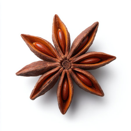 This close-up image showcases a whole star anise spice on a white background, highlighting its rich color and unique star-like shape, perfect for culinary arts.の素材