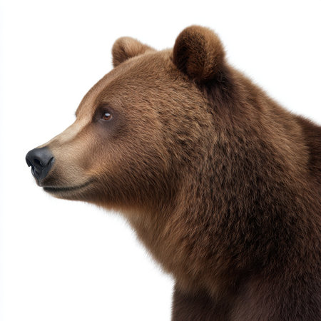 This striking portrait captures the essence of a brown bear, emphasizing its detailed fur and intense gaze. The image reflects the beauty of wildlife in a natural setting.の素材