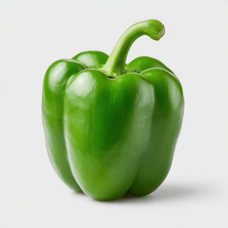 A vibrant green bell pepper stands prominently against a simple background, highlighting its fresh texture and color, ideal for culinary applications.の素材