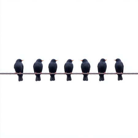 A serene image of a row of black birds resting on a utility wire, set against a bright white background. The simplicity and minimalism create a peaceful scene.の素材