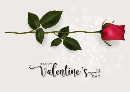 Valentine's day greeting card templates with realistic of beautiful rose and heart on background color.のイラスト素材