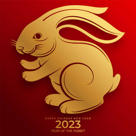 Happy chinese new year 2023 year of the rabbit zodiac sign, gong xi fa cai with flower,lantern,asian elements gold paper cut style on color Background. (Translation : Happy new year, rabbit year)のイラスト素材