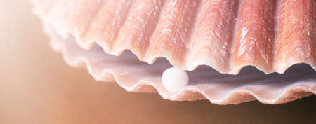 Alternative medicine concept with the shell.の写真素材