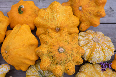 a lot of yellow squashes at outdoor farmers market