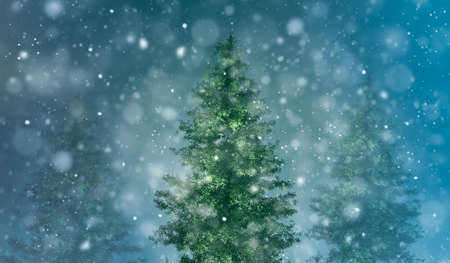 christmas background with snowy fir treesの写真素材