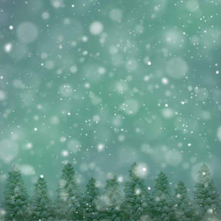 Fir trees and snow flakes. Holidays background for Christmas time.