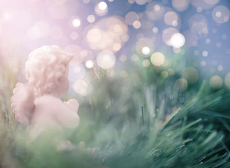 Side view of Christmas angel praying on fir tree backgroundの写真素材