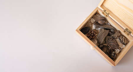 close up concept greeting card of opened vintage chest treasure with found things.の写真素材