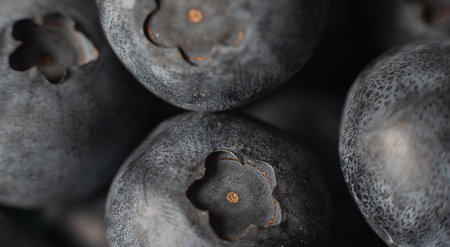 Fresh blueberries background. Nature dark blue color.の写真素材