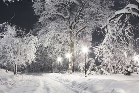 Snowy night park lit lanternsの写真素材