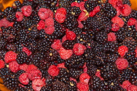 Lots of raspberry and blackberry closeup