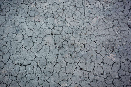 Texture crack in dried soil without vegetation