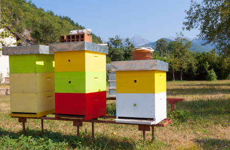 Multi-colored bee hive on a farm in the mountains