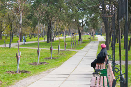 Lonely old woman sitting on a bench in the parkの写真素材