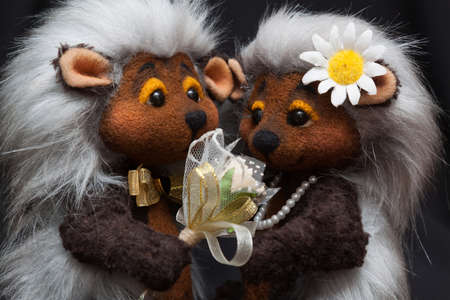 A couple of lovers hedgehogs on dark background closeupの写真素材