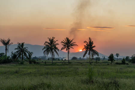 Sunset in the rice fields of Borneo, Sabahの写真素材