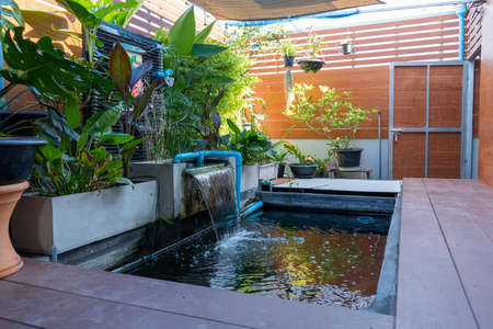watering plants in pots on the balcony of the house. High quality photo