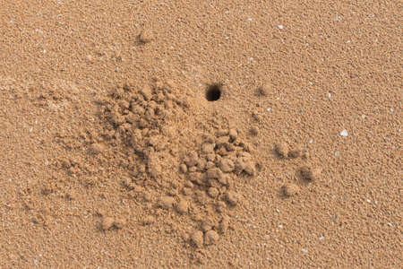Artwork on the beach.の写真素材