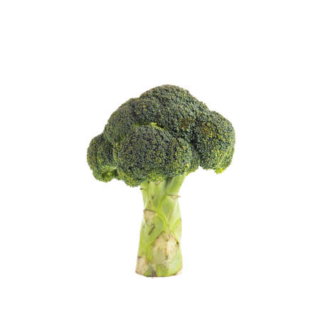 Broccoli on white background.の写真素材