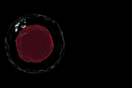 3d model of stem cells on black background. Concept of medical illustration.