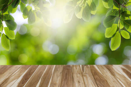 Empty wooden table with green leaves, bokeh and sun light with copy space for text ,Template mock up for display of product. green nature and ecology concept.の写真素材