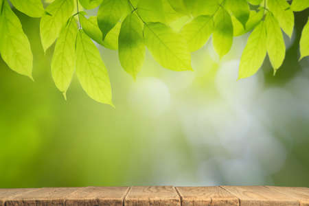 Empty wooden table with bokeh background and sun light for text ,Template mock up and display of product. green nature and ecology concept.の写真素材