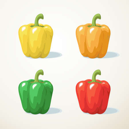 Colorful of Sweet pepperのイラスト素材