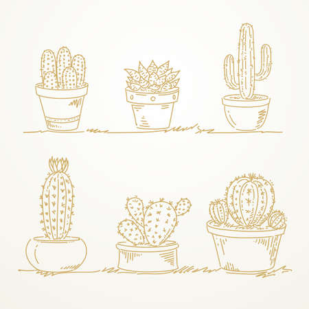 Cactus in pot, Sketch hand drawnのイラスト素材