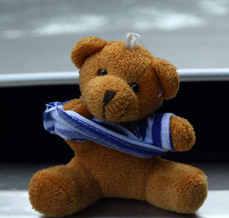 Teddy bear shirt is hot の写真素材