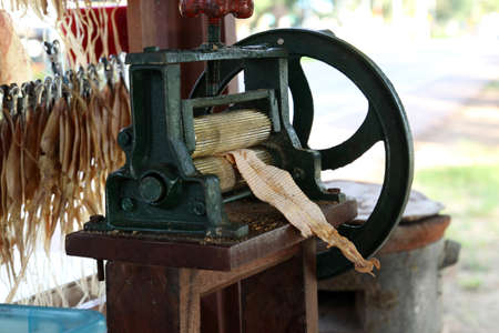 Bear grilled fish grinder の写真素材